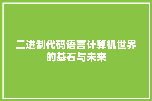 二进制代码语言计算机世界的基石与未来