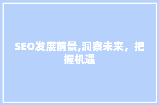 SEO发展前景,洞察未来，把握机遇