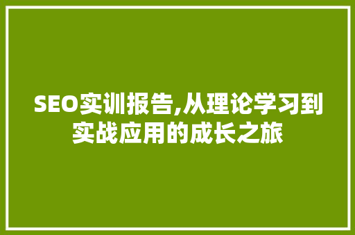 SEO实训报告,从理论学习到实战应用的成长之旅