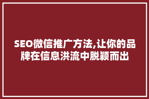 SEO微信推广方法,让你的品牌在信息洪流中脱颖而出