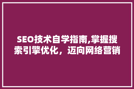 SEO技术自学指南,掌握搜索引擎优化，迈向网络营销成功之路