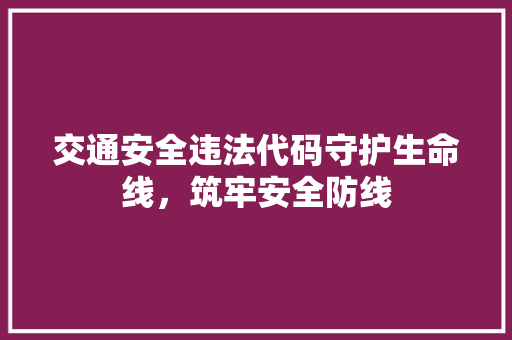 交通安全违法代码守护生命线，筑牢安全防线