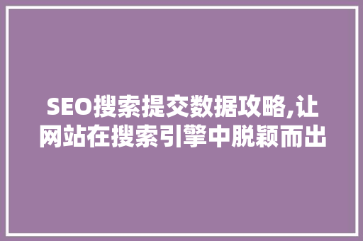 SEO搜索提交数据攻略,让网站在搜索引擎中脱颖而出