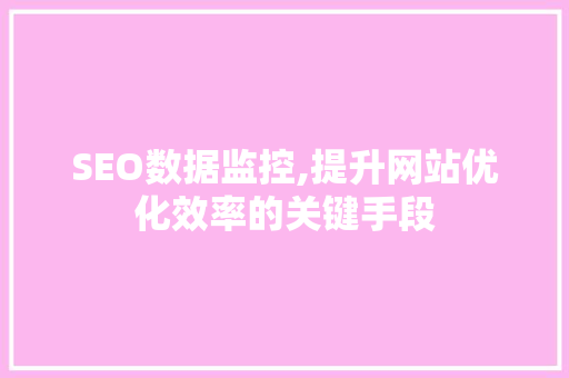 SEO数据监控,提升网站优化效率的关键手段