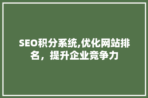 SEO积分系统,优化网站排名，提升企业竞争力