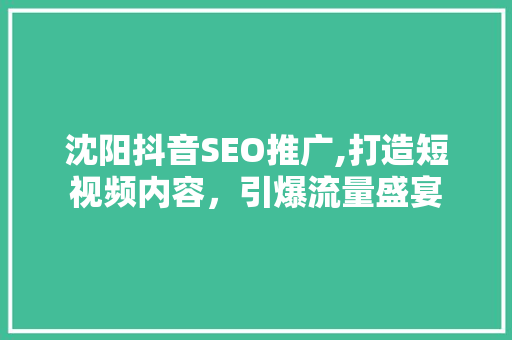 沈阳抖音SEO推广,打造短视频内容，引爆流量盛宴