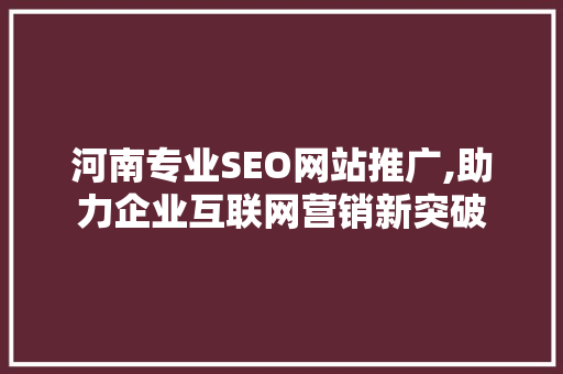 河南专业SEO网站推广,助力企业互联网营销新突破