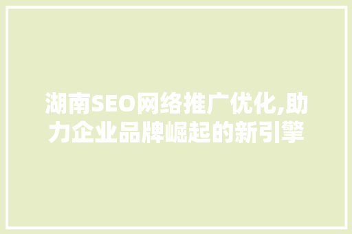 湖南SEO网络推广优化,助力企业品牌崛起的新引擎