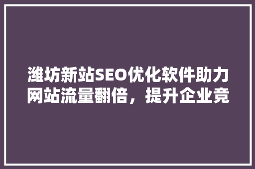 潍坊新站SEO优化软件助力网站流量翻倍，提升企业竞争力