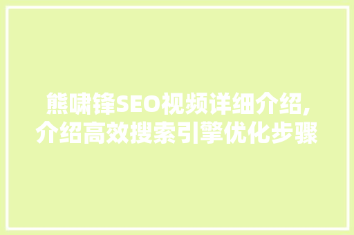 熊啸锋SEO视频详细介绍,介绍高效搜索引擎优化步骤
