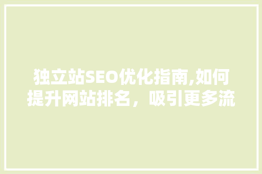 独立站SEO优化指南,如何提升网站排名，吸引更多流量  第1张