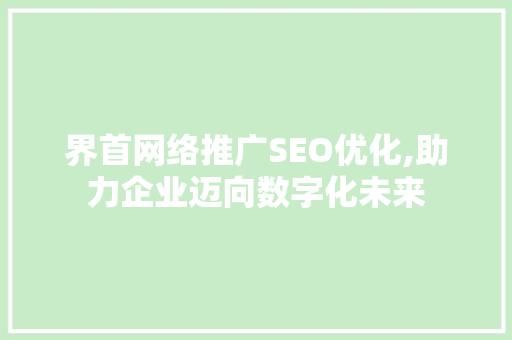 界首网络推广SEO优化,助力企业迈向数字化未来