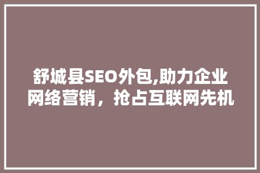 舒城县SEO外包,助力企业网络营销，抢占互联网先机
