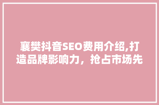 襄樊抖音SEO费用介绍,打造品牌影响力，抢占市场先机