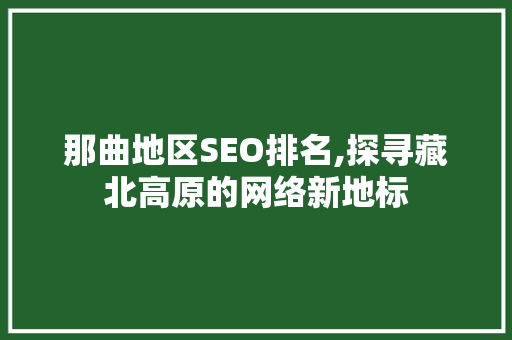 那曲地区SEO排名,探寻藏北高原的网络新地标