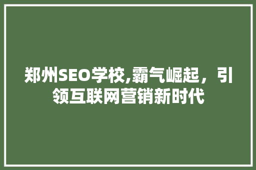 郑州SEO学校,霸气崛起，引领互联网营销新时代