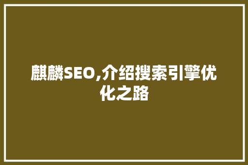 麒麟SEO,介绍搜索引擎优化之路