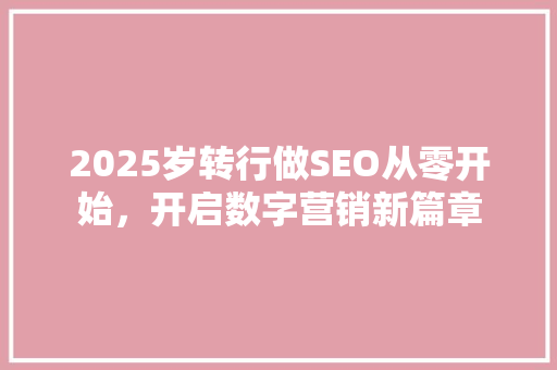 2025岁转行做SEO从零开始，开启数字营销新篇章  第1张