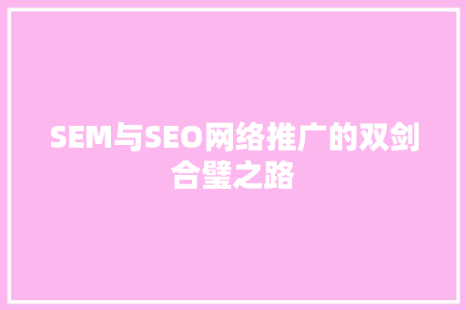 SEM与SEO网络推广的双剑合璧之路