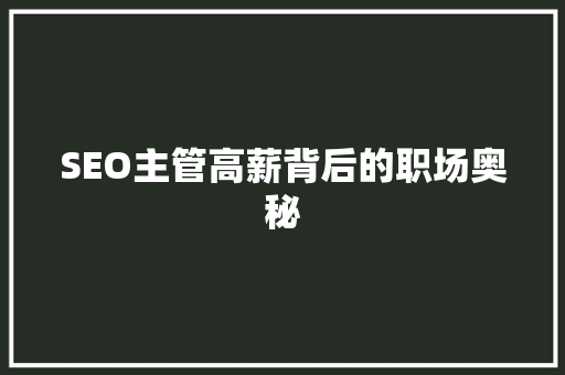 SEO主管高薪背后的职场奥秘