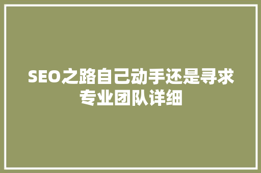 SEO之路自己动手还是寻求专业团队详细
