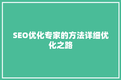 SEO优化专家的方法详细优化之路
