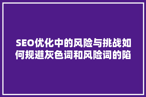 SEO优化中的风险与挑战如何规避灰色词和风险词的陷阱