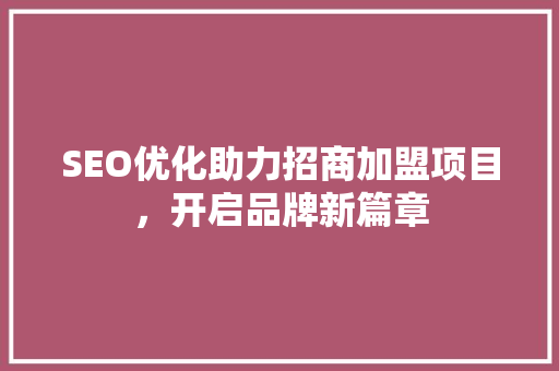 SEO优化助力招商加盟项目，开启品牌新篇章