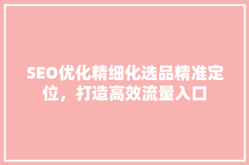 SEO优化精细化选品精准定位，打造高效流量入口