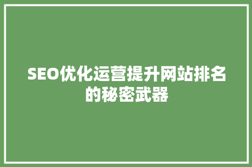 SEO优化运营提升网站排名的秘密武器