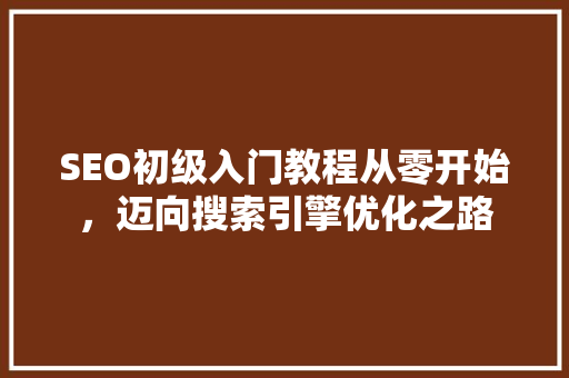 SEO初级入门教程从零开始，迈向搜索引擎优化之路