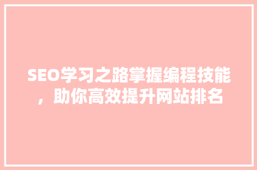 SEO学习之路掌握编程技能，助你高效提升网站排名