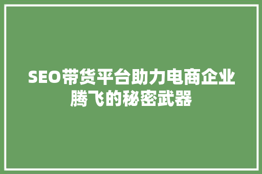 SEO带货平台助力电商企业腾飞的秘密武器