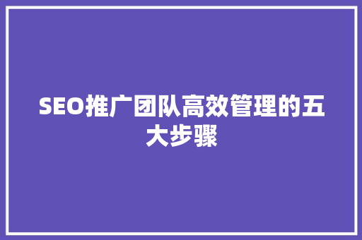 SEO推广团队高效管理的五大步骤