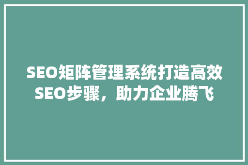 SEO矩阵管理系统打造高效SEO步骤，助力企业腾飞