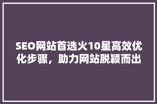 SEO网站首选火10星高效优化步骤，助力网站脱颖而出