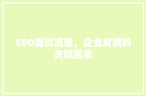 SEO面试流量，企业发展的关键因素