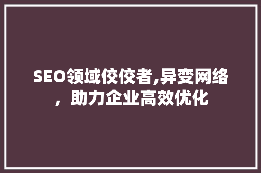 SEO领域佼佼者,异变网络，助力企业高效优化