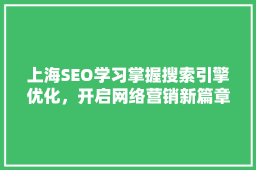 上海SEO学习掌握搜索引擎优化，开启网络营销新篇章
