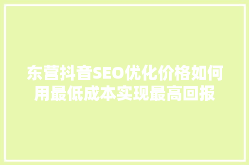 东营抖音SEO优化价格如何用最低成本实现最高回报