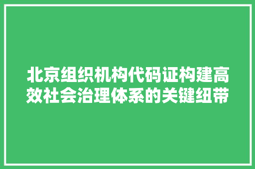 北京组织机构代码证构建高效社会治理体系的关键纽带