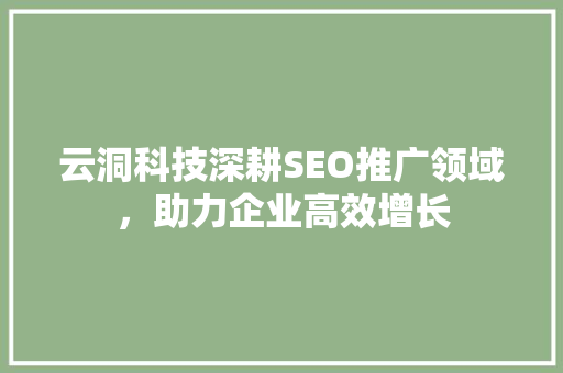 云洞科技深耕SEO推广领域，助力企业高效增长