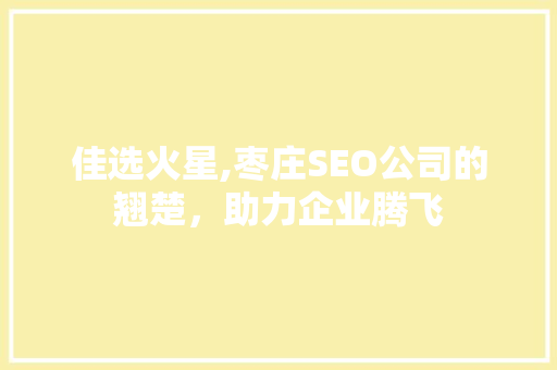 佳选火星,枣庄SEO公司的翘楚，助力企业腾飞