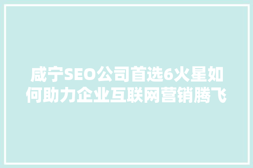 咸宁SEO公司首选6火星如何助力企业互联网营销腾飞