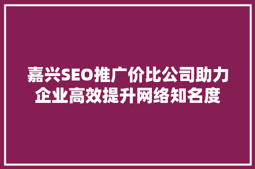 嘉兴SEO推广价比公司助力企业高效提升网络知名度  第1张