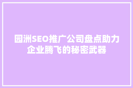 园洲SEO推广公司盘点助力企业腾飞的秘密武器