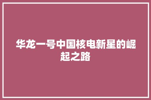 华龙一号中国核电新星的崛起之路