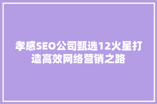 孝感SEO公司甄选12火星打造高效网络营销之路