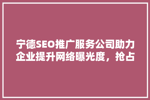 宁德SEO推广服务公司助力企业提升网络曝光度，抢占市场先机