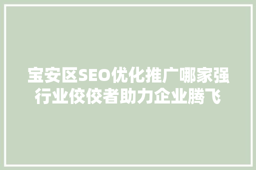 宝安区SEO优化推广哪家强行业佼佼者助力企业腾飞
